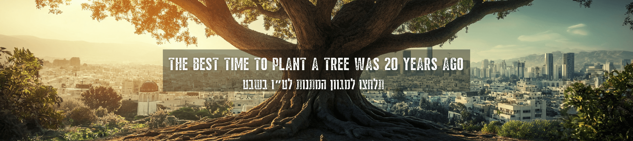 באנר אתר 2200 1
